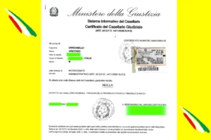 CASELLARIO GIUDIZIALE ONLINE