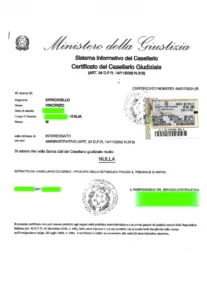 ESEMPIO REALE CASELLARIO GIUDIZIALE