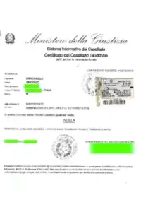 ESEMPIO CERTIFICATO CASELLARIO GIUDIZIALE GENERALE PENALE CIVILE