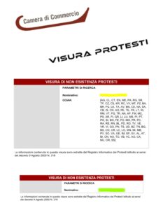 VISURA PROTESTI + VISURA CRIF
