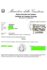 CASELLARIO GIUDIZIALE GENERALE ONLINE
