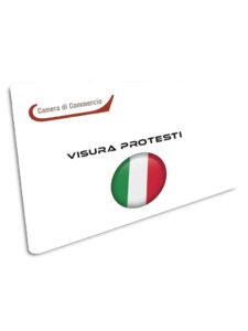 VISURA PROTESTI RICERCA NAZIONALE