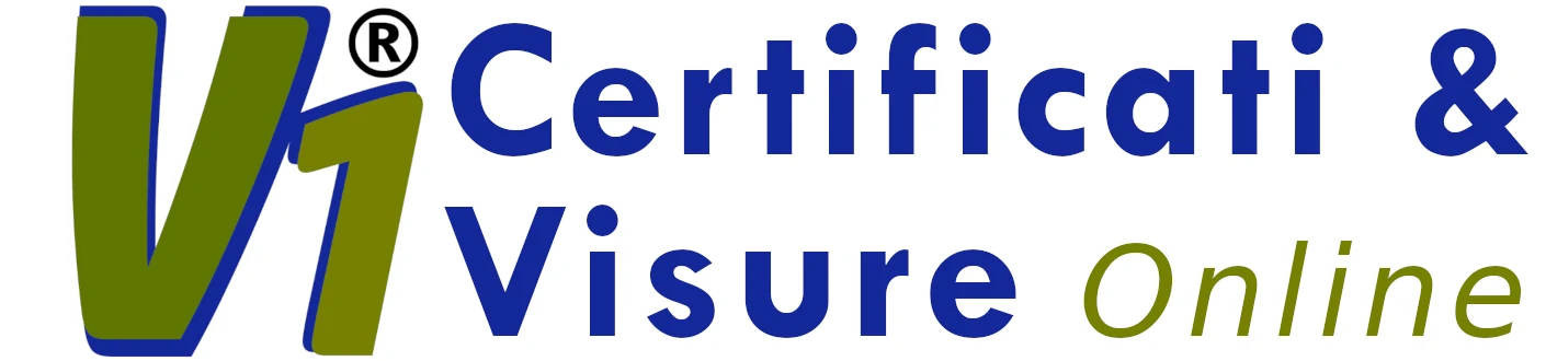 V1 LOGO